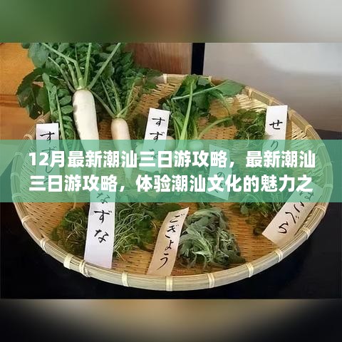最新潮汕三日游攻略，体验潮汕文化的魅力之旅