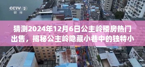 公主岭隐藏小巷的独特小店与未来热门楼盘预测，探寻美好家园的未知之旅