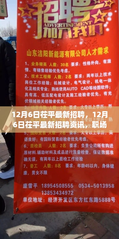 12月6日茌平最新招聘资讯，职场新机遇等你来探索