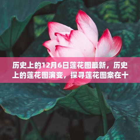 探寻莲花图案的历史演变与最新解读，十二月六日的莲花图最新资讯