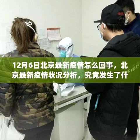 北京疫情最新动态解析，揭秘真相与探讨——以XX视角的观察分析