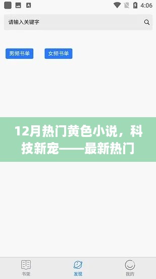 涉黄警告，最新黄色小说阅读器的功能与体验