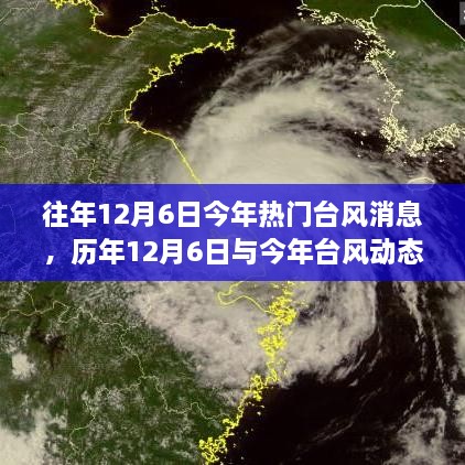 历年与今年台风动态对比，热带风暴轨迹与影响分析在12月6日的深度探讨