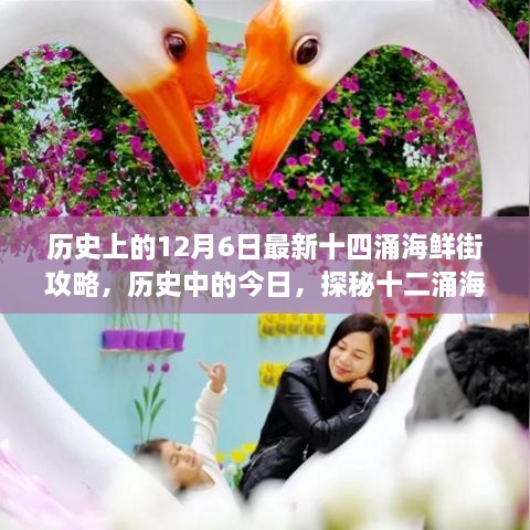 历史上的今天与海鲜盛宴，十四涌海鲜街深度攻略与心灵探秘之旅