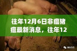 往年12月6日非洲猪瘟最新动态，防控进展、科研突破及公众关注综述