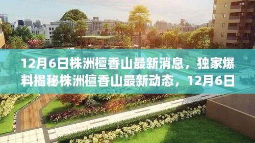 株洲檀香山独家爆料，最新动态揭秘，12月6日震撼更新！