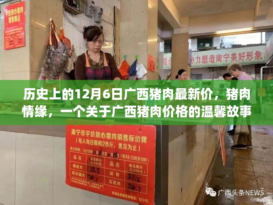 广西猪肉情缘，历史价格回顾与温馨故事