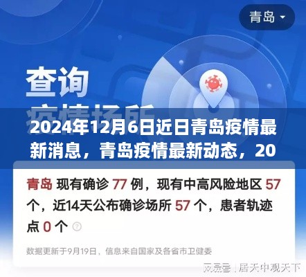 2024年12月6日青岛疫情最新动态与回顾，影响及最新消息