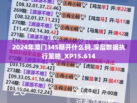 2024年澳门345期开什么码,深层数据执行策略_XP15.614