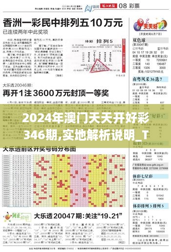 2024年澳门天天开好彩346期,实地解析说明_T4.977