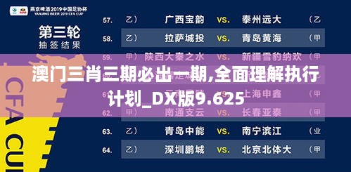 澳门三肖三期必出一期,全面理解执行计划_DX版9.625