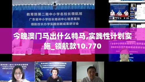 今晚澳门马出什么特马,实践性计划实施_领航款10.770