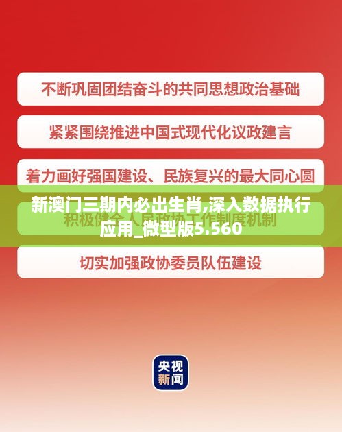 新澳门三期内必出生肖,深入数据执行应用_微型版5.560