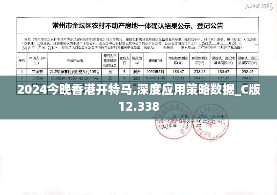 2024今晚香港开特马,深度应用策略数据_C版12.338