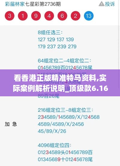 看香港正版精准特马资料,实际案例解析说明_顶级款6.166