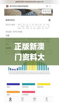正版新澳门资料大全,精细化策略解析_SE版8.674
