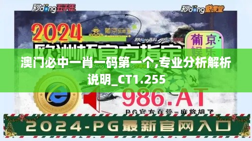 澳门必中一肖一码第一个,专业分析解析说明_CT1.255
