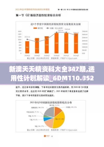 新澳天天精资科大全347期,适用性计划解读_6DM110.352