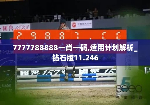 7777788888一肖一码,适用计划解析_钻石版11.246
