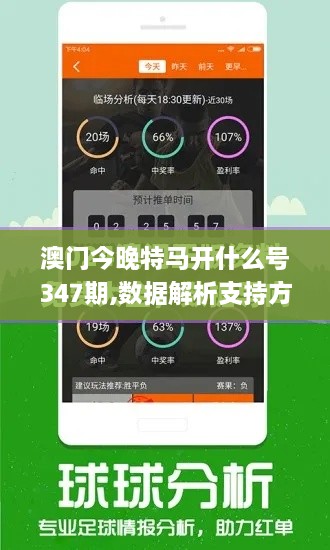 澳门今晚特马开什么号347期,数据解析支持方案_YE版9.480