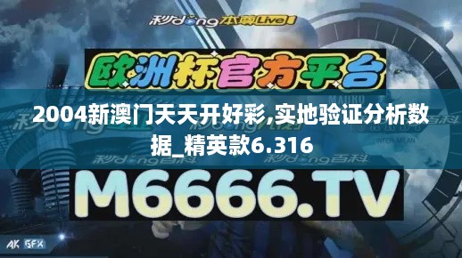 2004新澳门天天开好彩,实地验证分析数据_精英款6.316
