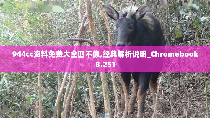 944cc资料免费大全四不像,经典解析说明_Chromebook8.251