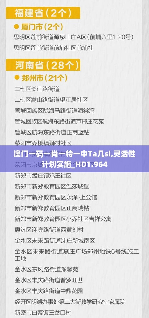 澳门一码一肖一特一中Ta几si,灵活性计划实施_HD1.964