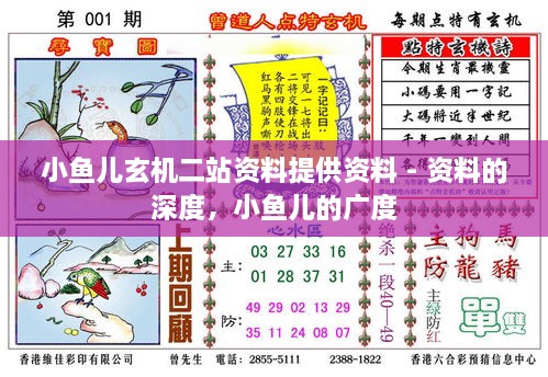 小鱼儿玄机二站资料提供资料 - 资料的深度，小鱼儿的广度