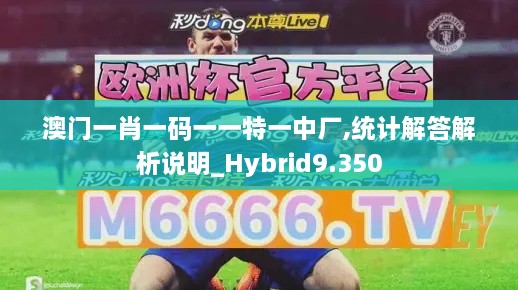 澳门一肖一码一一特一中厂,统计解答解析说明_Hybrid9.350