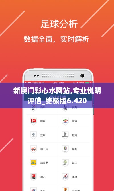 新澳门彩心水网站,专业说明评估_终极版6.420