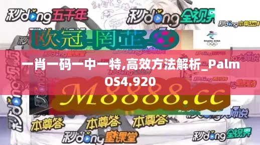 一肖一码一中一特,高效方法解析_PalmOS4.920