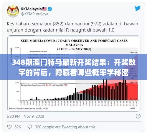 348期澳门特马最新开奖结果：开奖数字的背后，隐藏着哪些概率学秘密