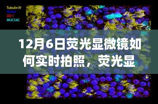新闻动态 第140页