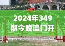 2024年349期今晚澳门开特马：马术竞技的极致展现
