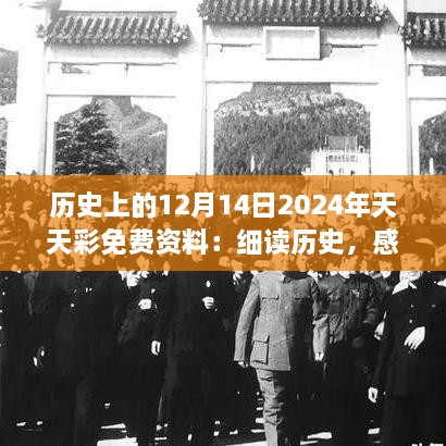 历史上的12月14日2024年天天彩免费资料：细读历史，感悟人生