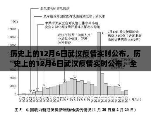 历史上的武汉疫情实时公布，全面评测与介绍——聚焦武汉疫情实时公布的日子（附日期详解）