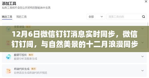 微信钉钉消息与十二月美景同步，浪漫时刻尽在掌握