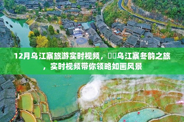 乌江寨冬韵之旅实时视频，领略如画风景的梦幻之旅