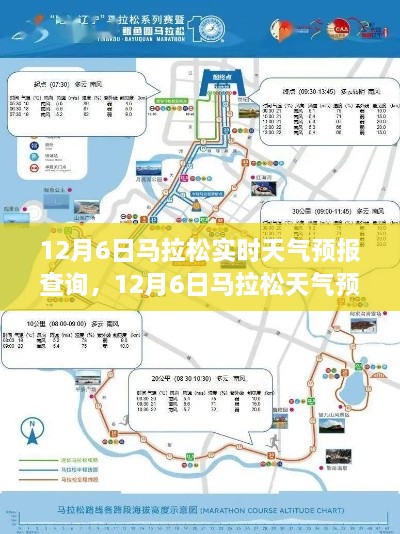 12月6日马拉松天气预报，精准查询，为你的赛道安全保驾护航