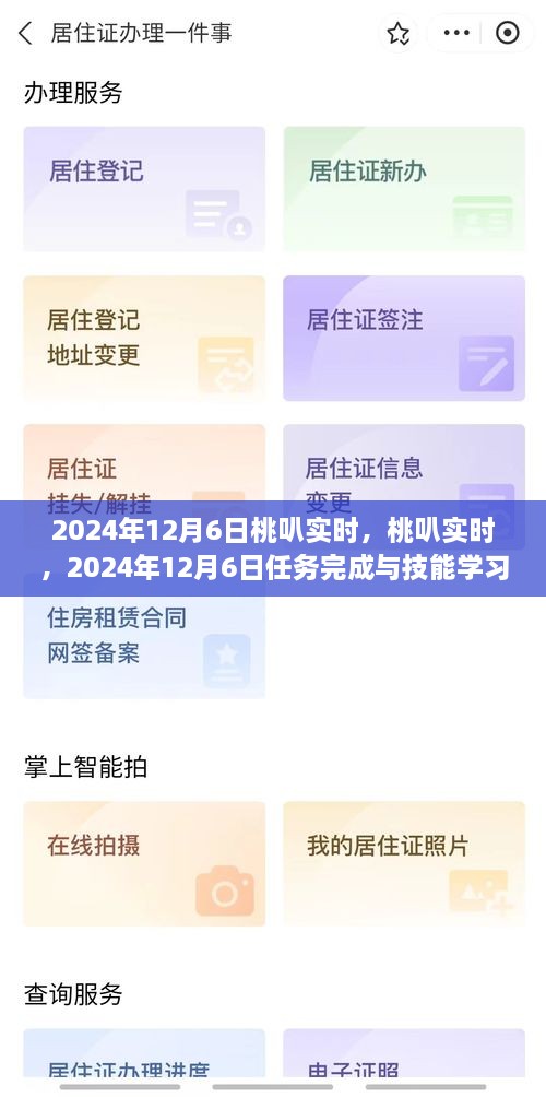 2024年12月6日桃叭实时任务完成与技能学习指南，初学者与进阶用户通用
