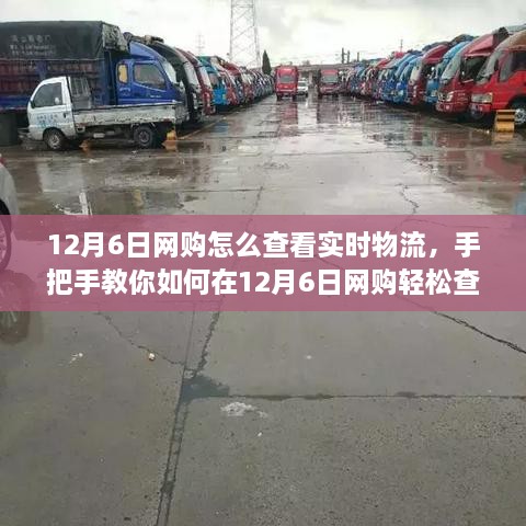 手把手教你，12月6日网购如何轻松查看实时物流，掌握货物动态