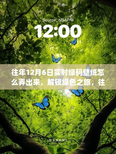 往年12月6日实时绿码壁纸制作指南，解锁绿色探索之旅，探寻内心宁静的自然港湾