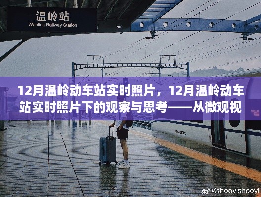微观视角下的城市发展观察，温岭动车站实时照片分析