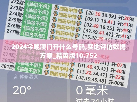 2024今晚澳门开什么号码,实地评估数据方案_精英版10.752
