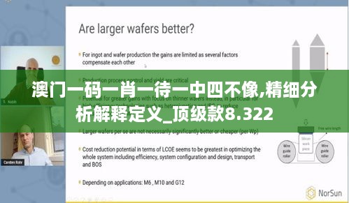 澳门一码一肖一待一中四不像,精细分析解释定义_顶级款8.322