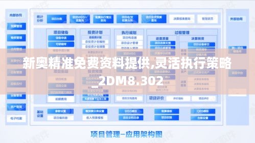 新奥精准免费资料提供,灵活执行策略_2DM8.302