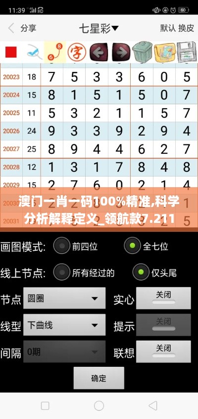 澳门一肖一码100%精准,科学分析解释定义_领航款7.211