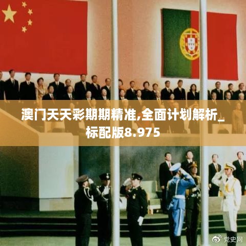 澳门天天彩期期精准,全面计划解析_标配版8.975