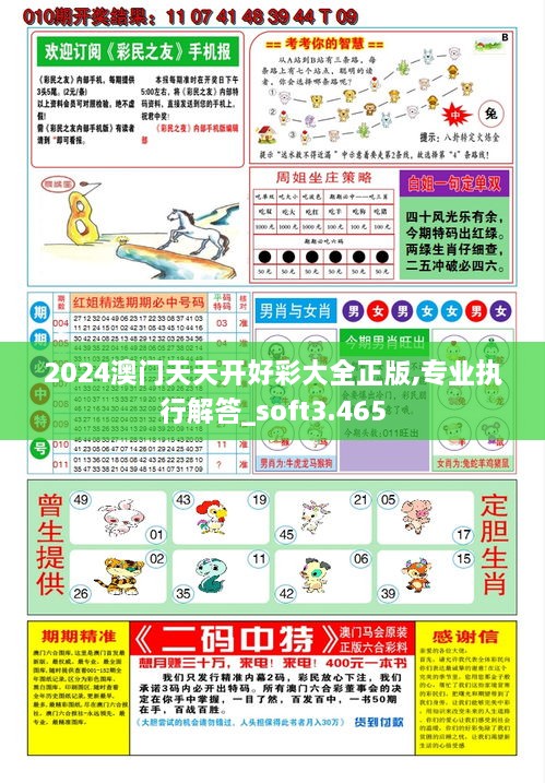 2024澳门天天开好彩大全正版,专业执行解答_soft3.465