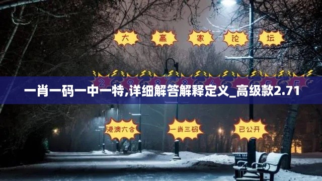 一肖一码一中一特,详细解答解释定义_高级款2.710